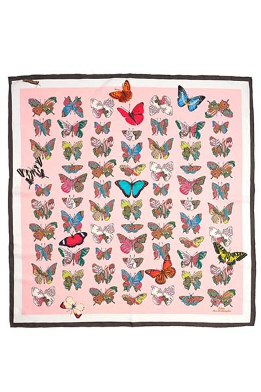 Women Echo Accessories | Give Me Butterflies Silk Square