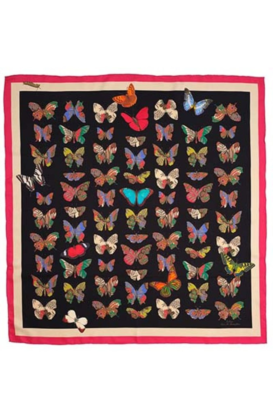 Women Echo Accessories | Give Me Butterflies Silk Square